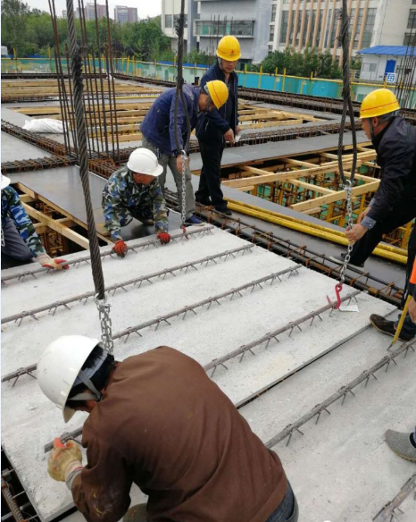 www.www.chenxiangjiuye.cn
